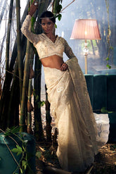 Beige Tissue & Organza Embroidered Saree Set